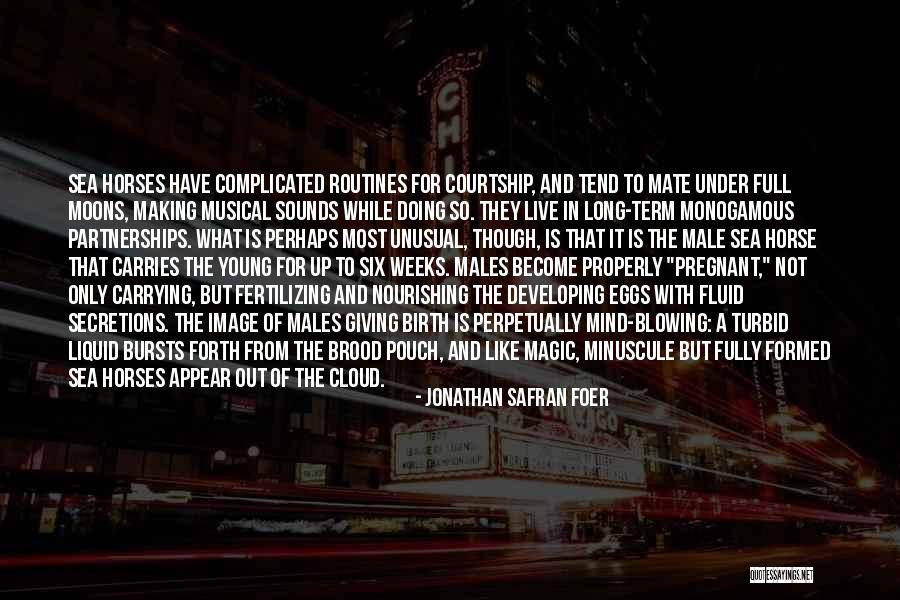 Tomsik Eyecare Quotes By Jonathan Safran Foer Tomsik Eyecare Quotes By Jonathan Safran Foer