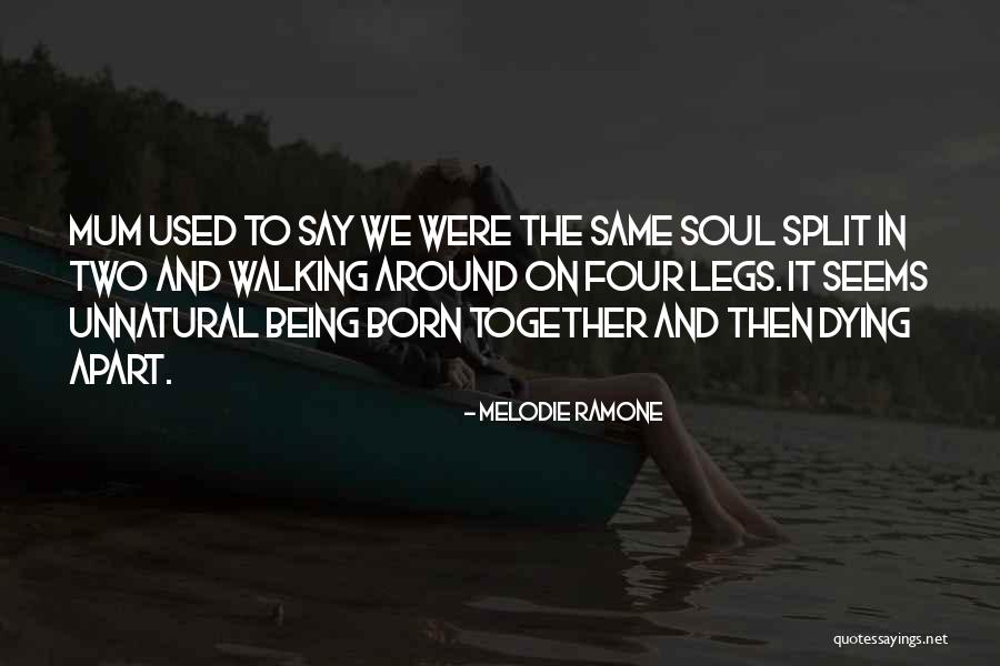 Tomsk Polytechnic University Quotes By Melodie Ramone Tomsk Polytechnic University Quotes By Melodie Ramone