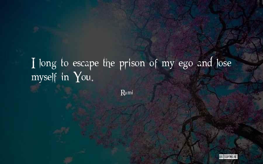 Tomskey Quotes By Rumi Tomskey Quotes By Rumi