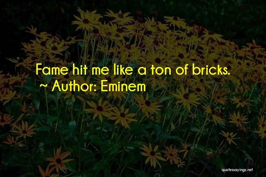 Ton Of Bricks Quotes By Eminem