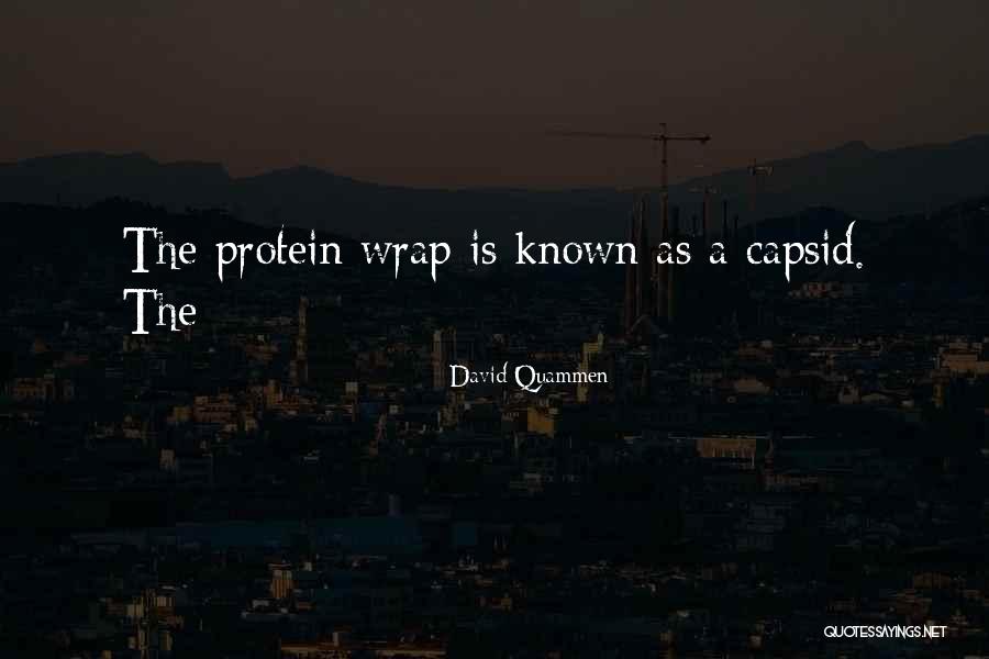 Tonatiuh Pronunciation Quotes By David Quammen Tonatiuh Pronunciation Quotes By David Quammen