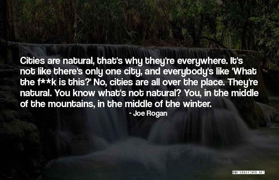 Tondreau River Quotes By Joe Rogan Tondreau River Quotes By Joe Rogan