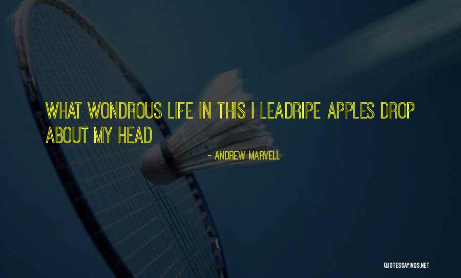 Toneel A Sa Quotes By Andrew Marvell Toneel A Sa Quotes By Andrew Marvell