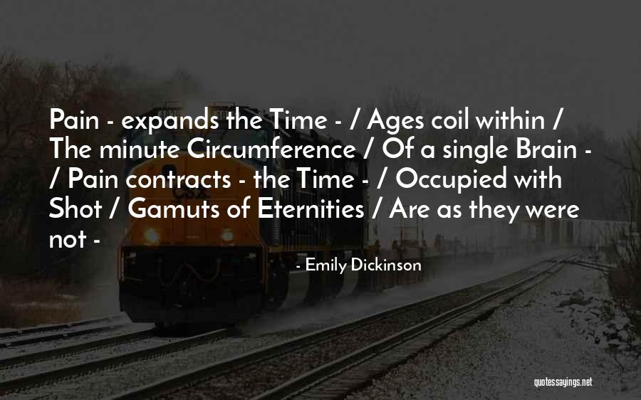 Toneguzzo Inmobiliaria Quotes By Emily Dickinson Toneguzzo Inmobiliaria Quotes By Emily Dickinson