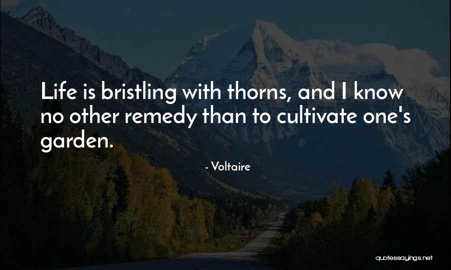 Tongkol Quotes By Voltaire Tongkol Quotes By Voltaire