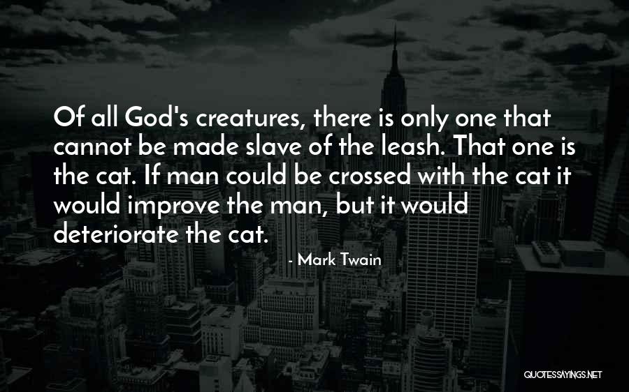 Tongueless Tennis Quotes By Mark Twain