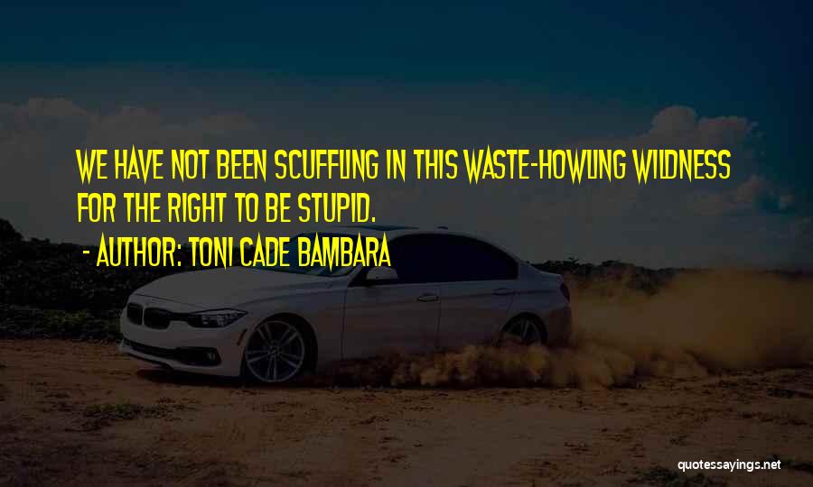 Toni Cade Bambara Quotes 235191