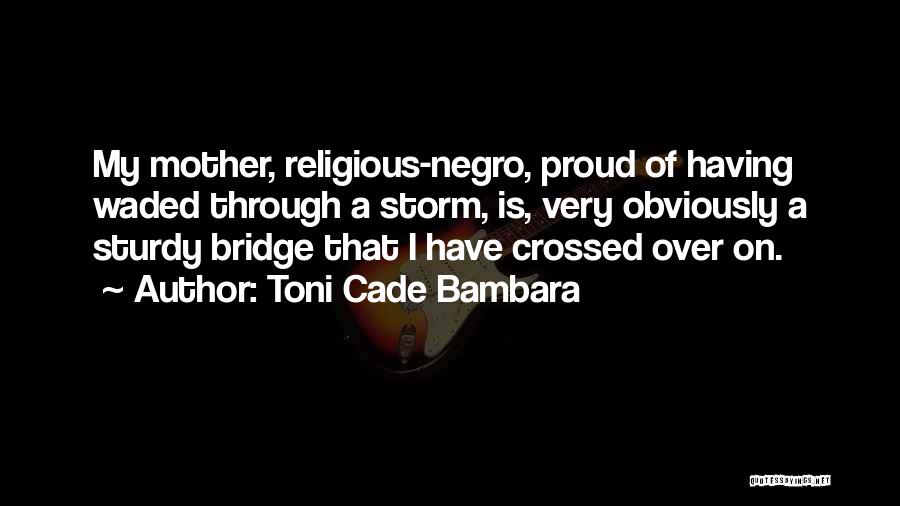 Toni Cade Bambara Quotes 854824