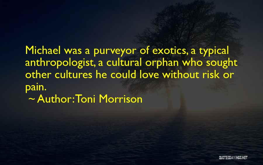 Toni Morrison Love Quotes By Toni Morrison