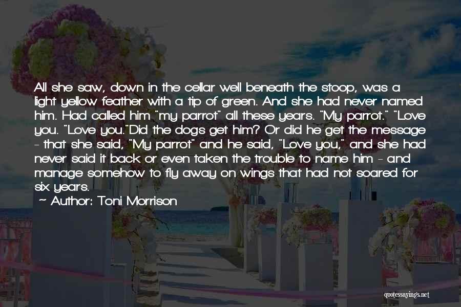 Toni Morrison Love Quotes By Toni Morrison