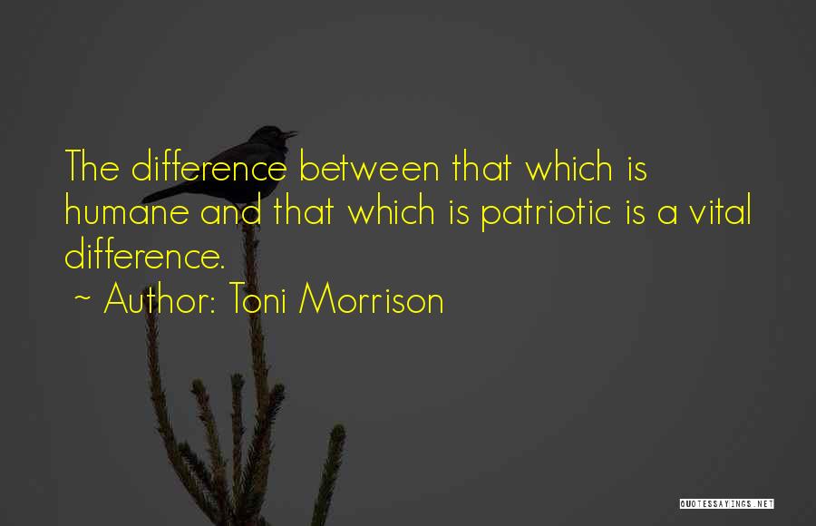 Toni Morrison Quotes 1458096