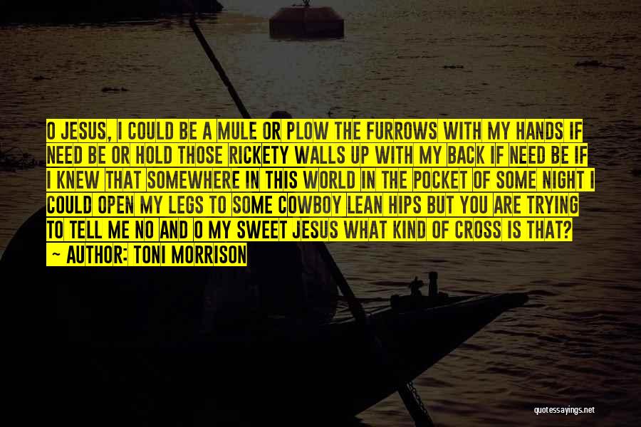 Toni Morrison Quotes 1474894