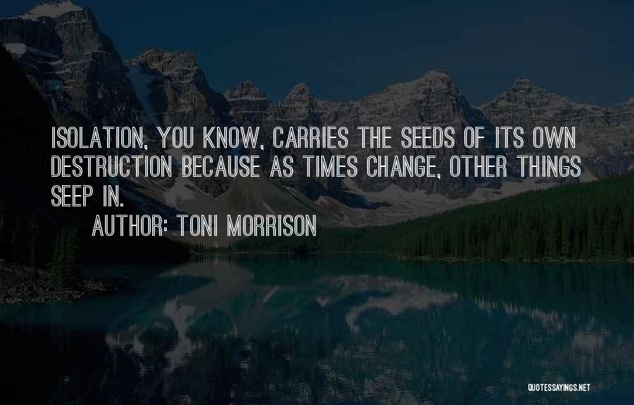 Toni Morrison Quotes 1573075