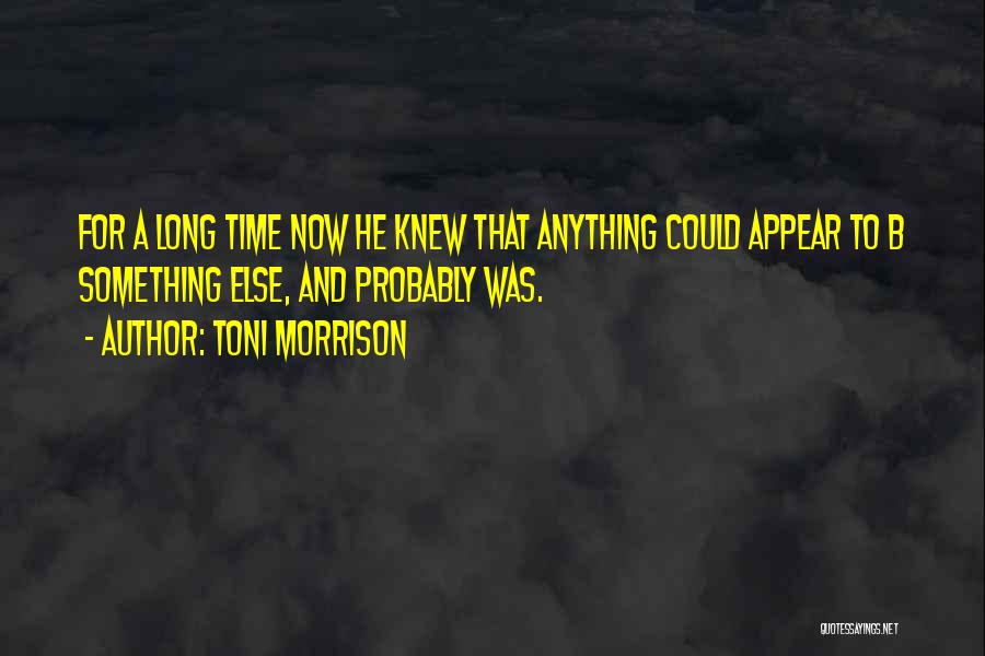 Toni Morrison Quotes 1828902