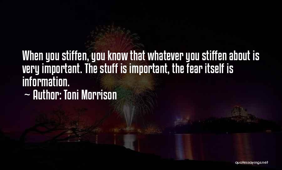 Toni Morrison Quotes 1886511