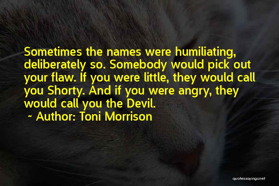 Toni Morrison Quotes 2035428