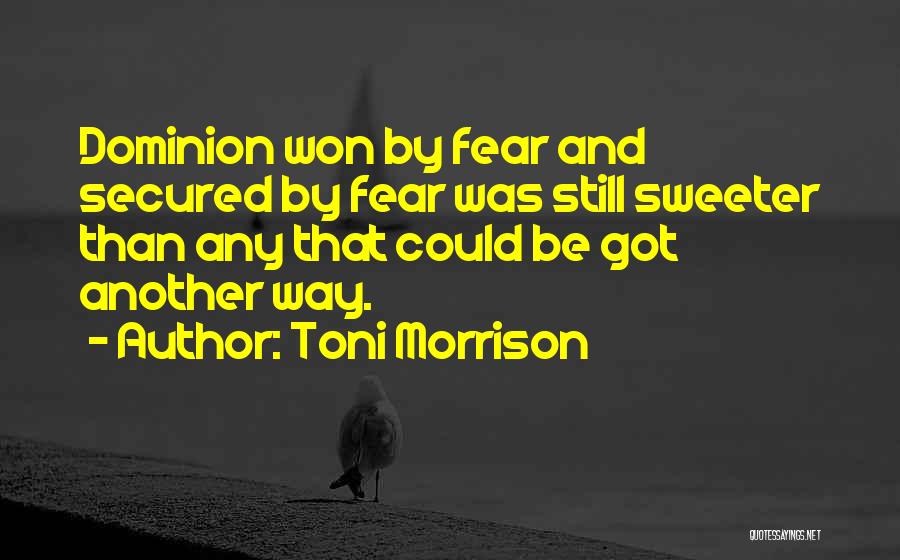 Toni Morrison Quotes 2241054
