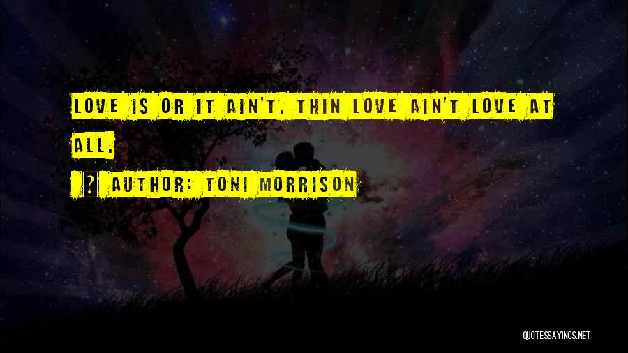 Toni Morrison Quotes 272268