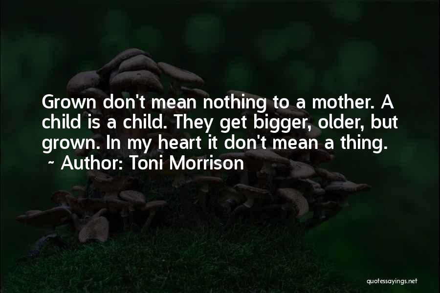 Toni Morrison Quotes 502429