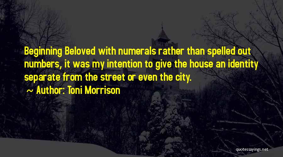 Toni Morrison Quotes 879962