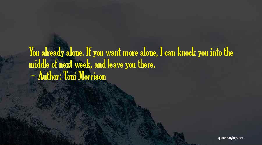 Toni Morrison Quotes 978520