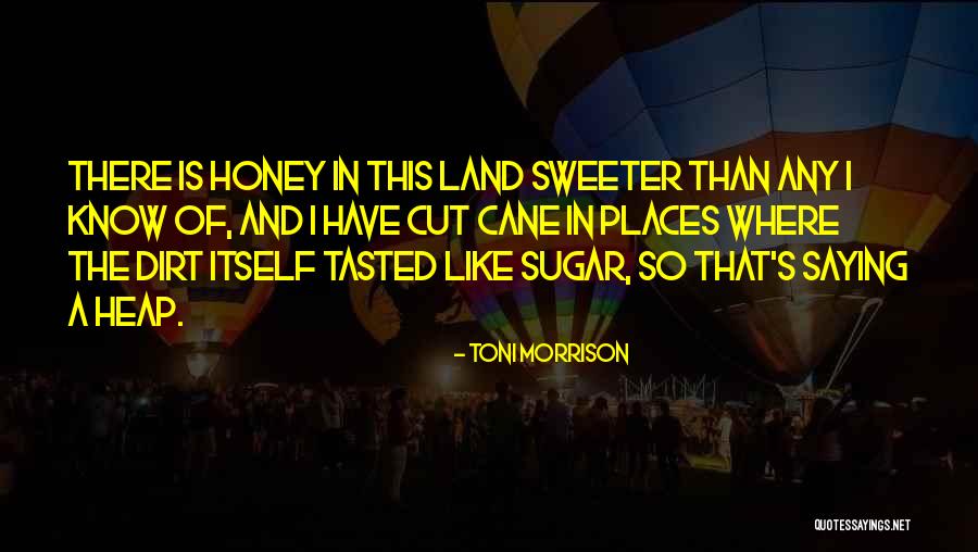 Toni Morrison's Quotes By Toni Morrison Toni Morrison's Quotes By Toni Morrison