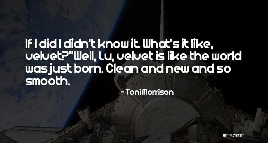 Toni Morrison's Quotes By Toni Morrison Toni Morrison's Quotes By Toni Morrison