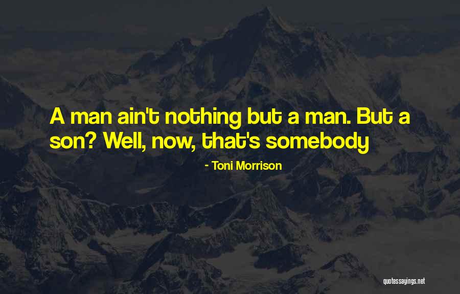 Toni Morrison's Quotes By Toni Morrison Toni Morrison's Quotes By Toni Morrison