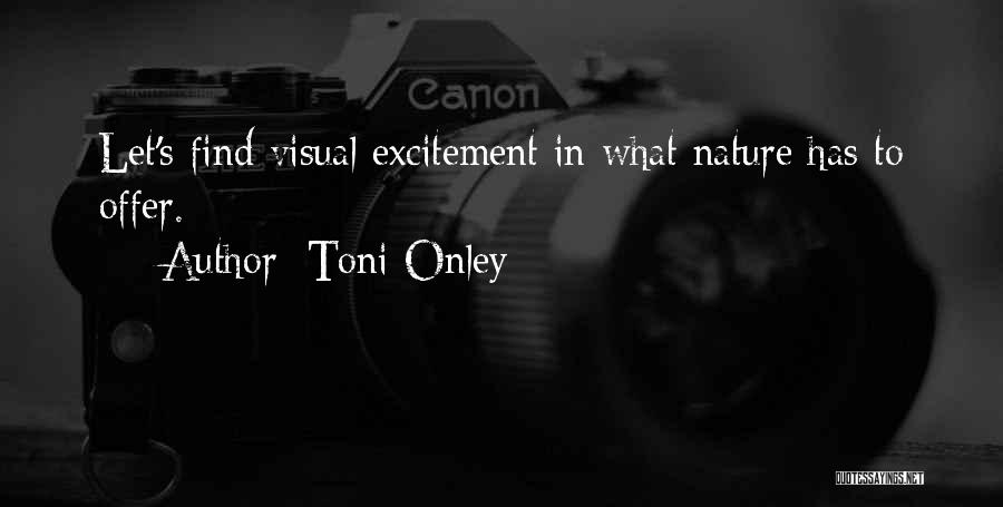 Toni Onley Quotes 2041787