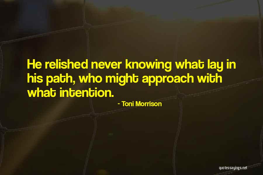 Toni Quotes By Toni Morrison