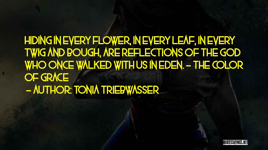 Tonia Triebwasser Quotes 1086605