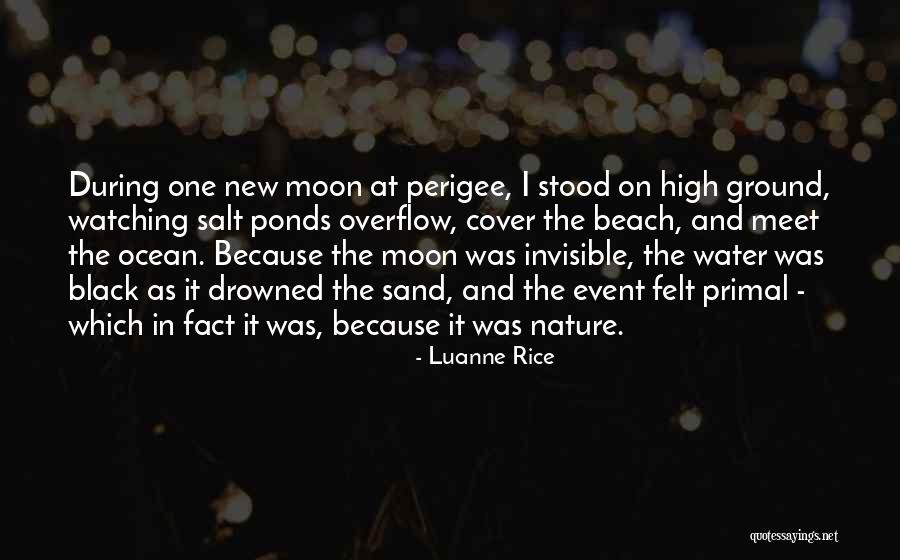 Toniann Poledancer Quotes By Luanne Rice Toniann Poledancer Quotes By Luanne Rice