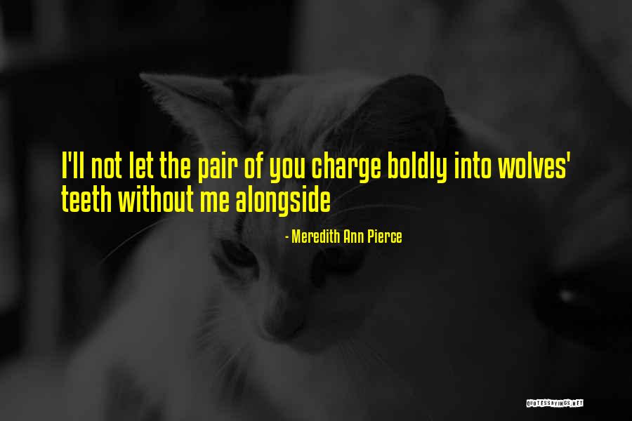 Tonianne Cifrodelli Quotes By Meredith Ann Pierce Tonianne Cifrodelli Quotes By Meredith Ann Pierce