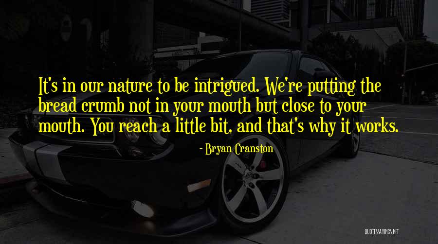 Tonique Liquor Quotes By Bryan Cranston Tonique Liquor Quotes By Bryan Cranston
