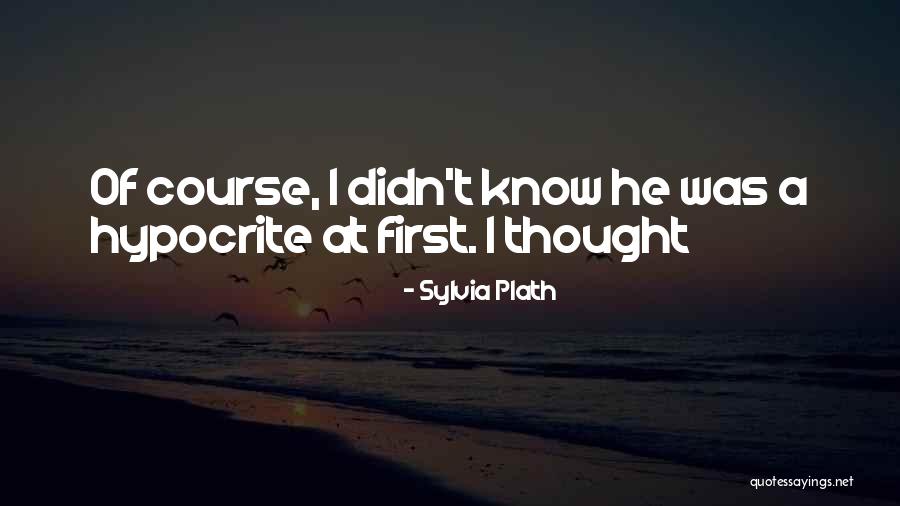 Tononi Sleep Quotes By Sylvia Plath Tononi Sleep Quotes By Sylvia Plath