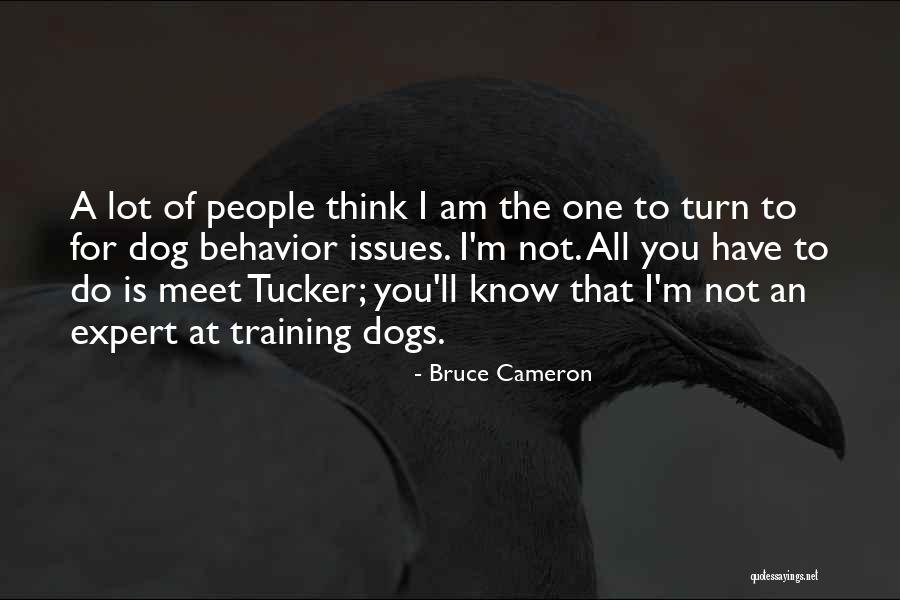 Tonos Para Quotes By Bruce Cameron Tonos Para Quotes By Bruce Cameron
