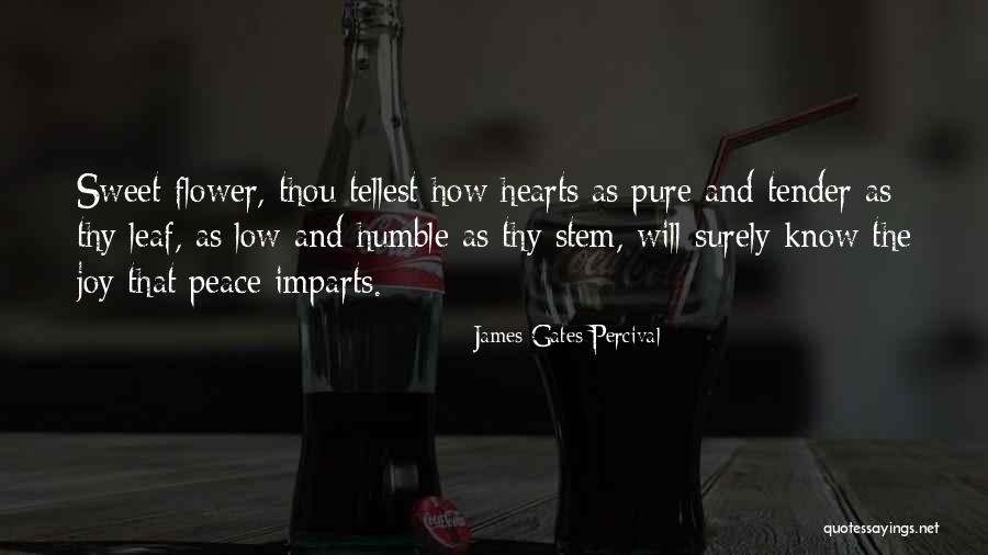 Tonus Muscular Quotes By James Gates Percival Tonus Muscular Quotes By James Gates Percival