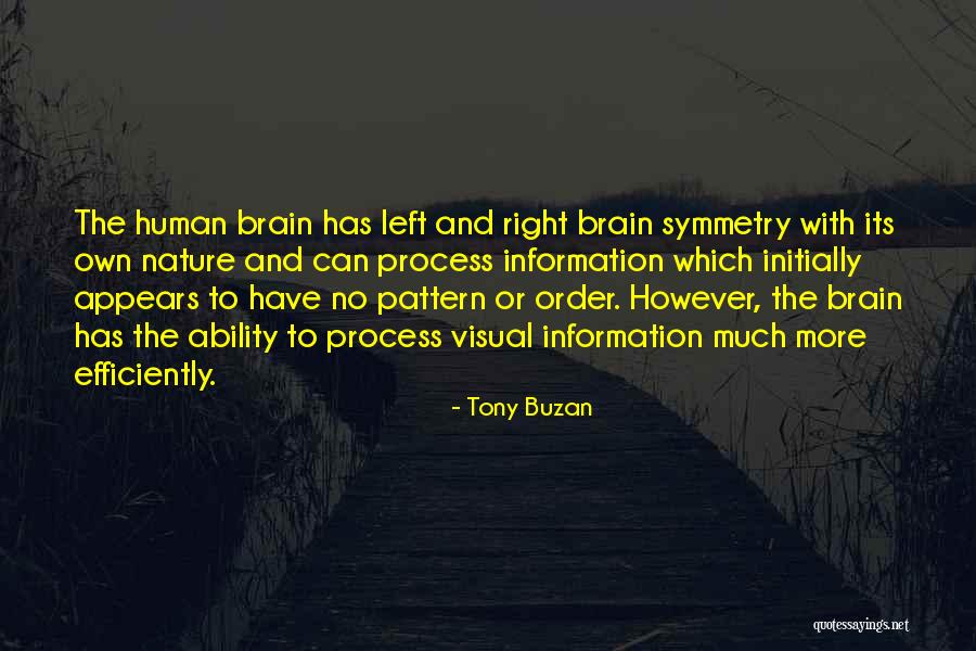 Tony Buzan Quotes 1735376