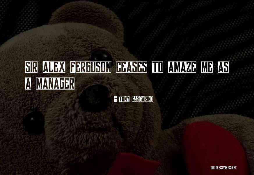 Tony Cascarino Quotes 2186461 Tony Cascarino Quotes 2186461