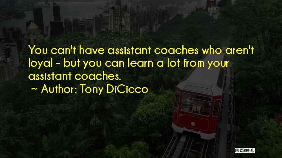 Tony DiCicco Quotes 473283