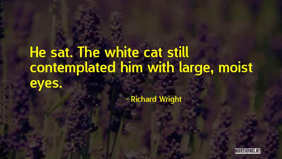 Tony Gaskins Picture Quotes By Richard Wright Tony Gaskins Picture Quotes By Richard Wright