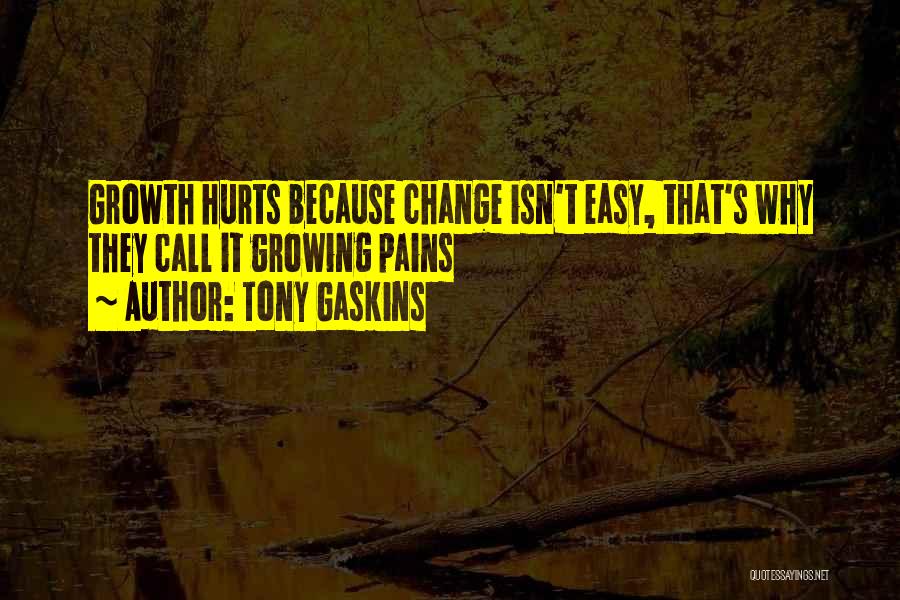 Tony Gaskins Quotes 351211