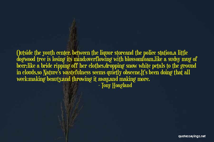 Tony Hoagland Quotes 1555723 Tony Hoagland Quotes 1555723