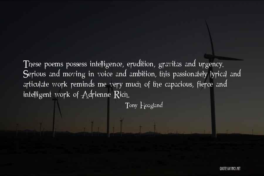 Tony Hoagland Quotes 1916100