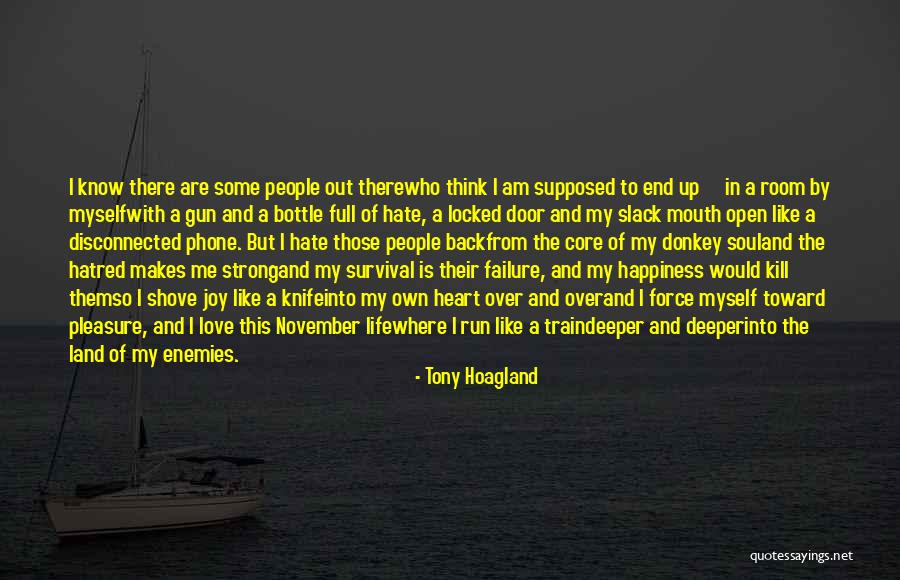 Tony Hoagland Quotes 237329