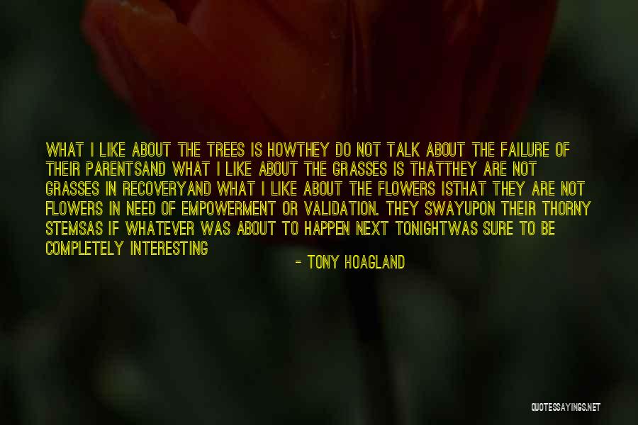 Tony Hoagland Quotes 371529