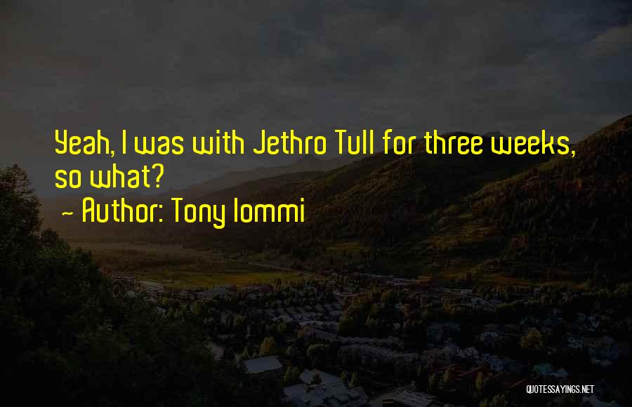 Tony Iommi Quotes 1371021