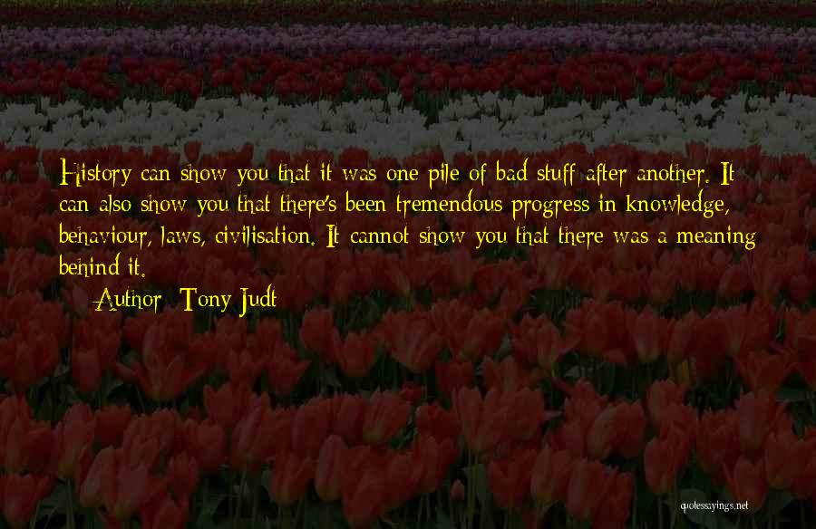 Tony Judt Quotes 487152