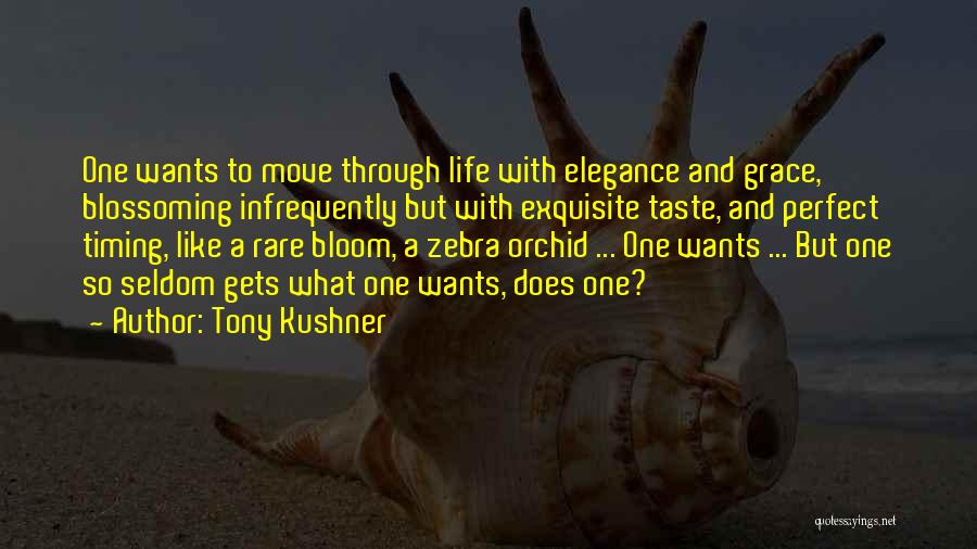 Tony Kushner Quotes 1099825