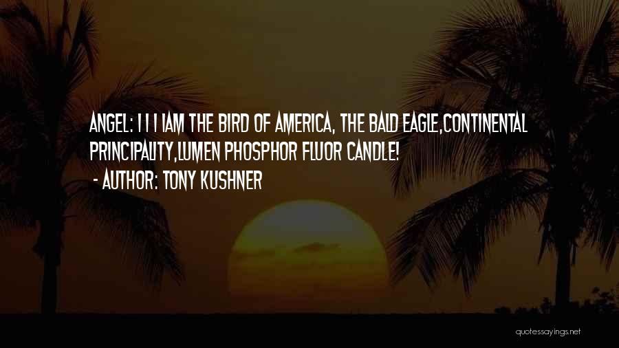 Tony Kushner Quotes 1704058